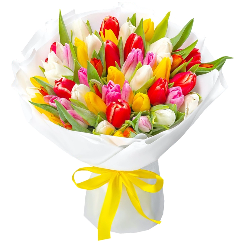 51 разноцветный тюльпан