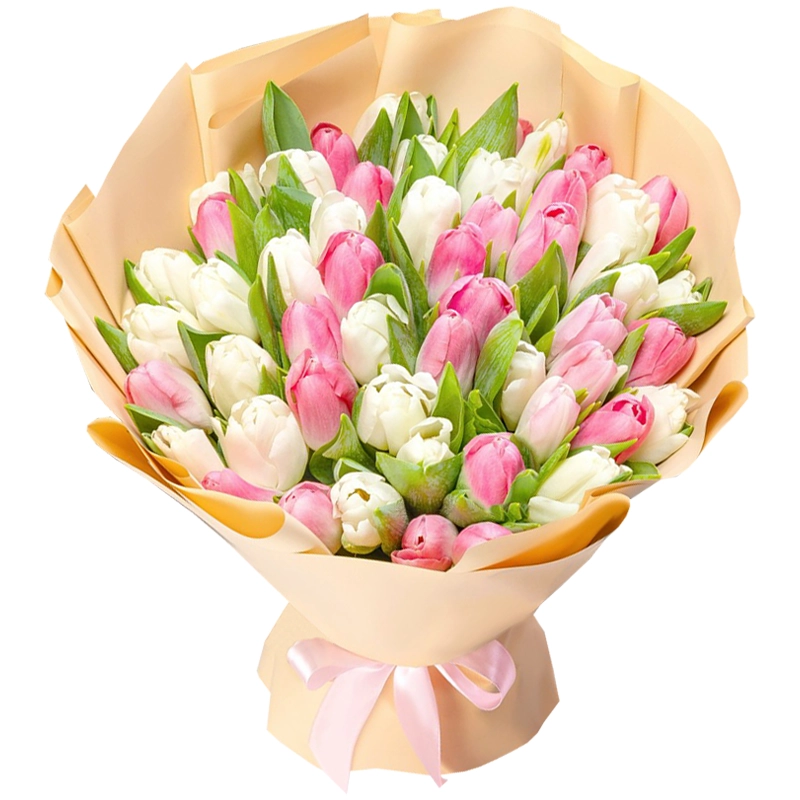 51 тюльпан бело-розовый микс
