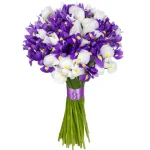 Ирисы микс бело-синий